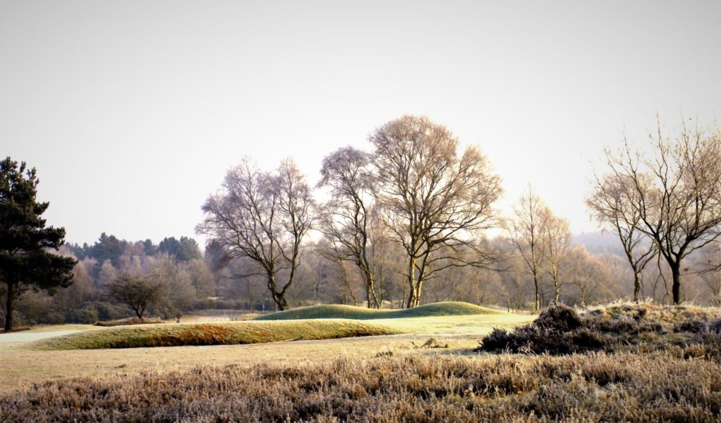Cold-comfort golf: take it on or the lie-in in winter?