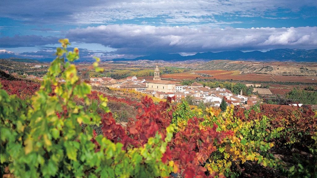 Entries set to pour in for Race to Rioja