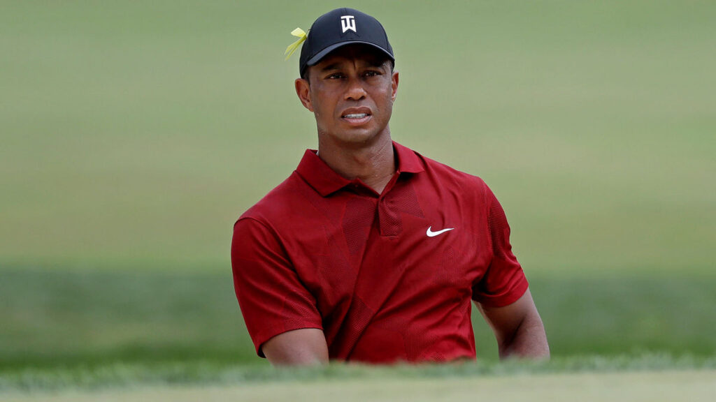 Tiger’s Dozen - Major quest continues in two weeks