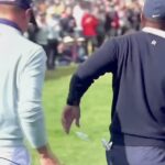 Justin Thomas throws away a tampon after being handed it by Tiger Woods