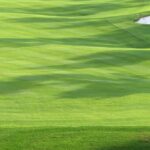 R&A launches International Turfgrass Research initiative to advance worldwide sustainability in golf