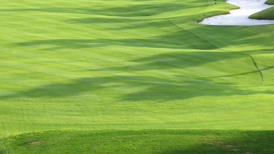 R&A launches International Turfgrass Research initiative to advance worldwide sustainability in golf