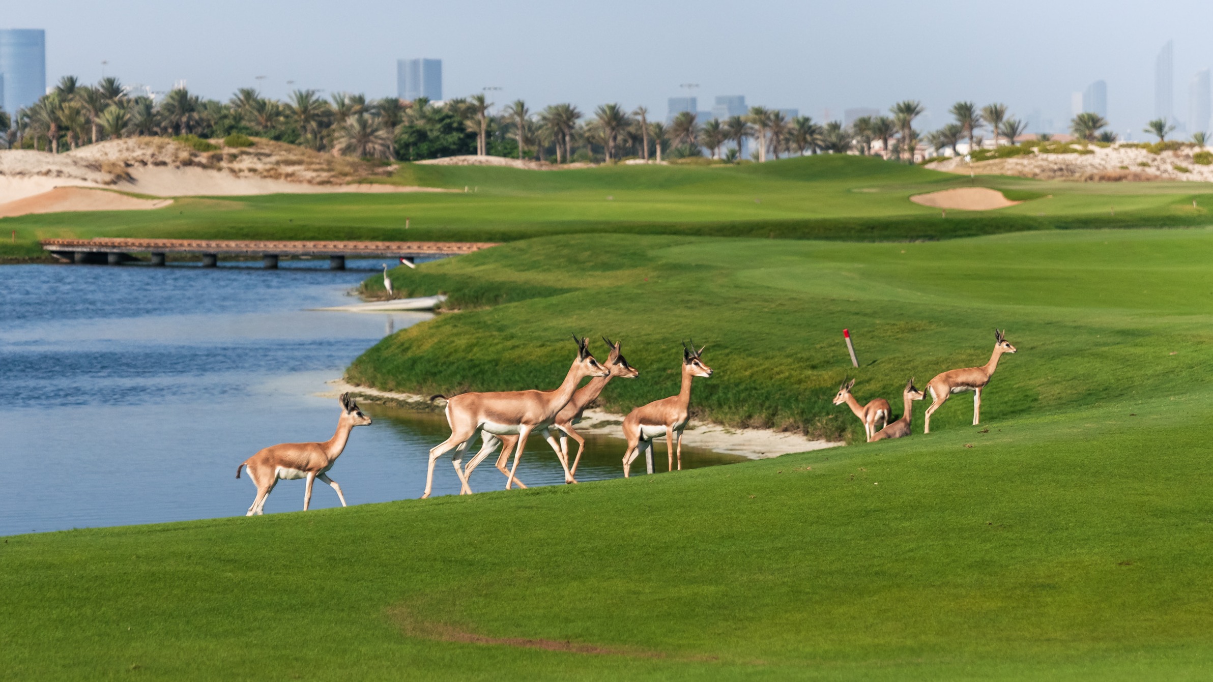 Saadiyat Beach Golf Club, Abu Dhabi